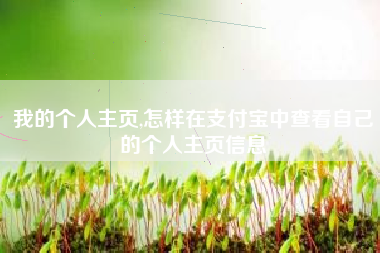 我的个人主页,怎样在支付宝中查看自己的个人主页信息