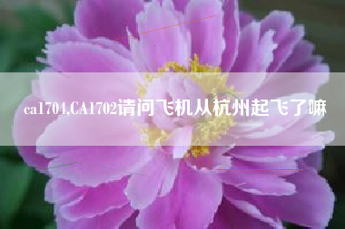 ca1704,CA1702请问飞机从杭州起飞了嘛