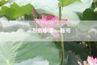 vo,怎么申请vivo账号