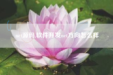 net源码,软件开发net方向怎么样