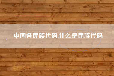 中国各民族代码,什么是民族代码