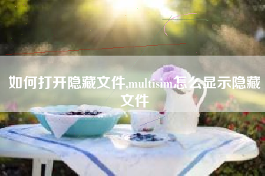 如何打开隐藏文件,multisim怎么显示隐藏文件