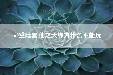 u9登陆器,仙之天缘为什么不能玩