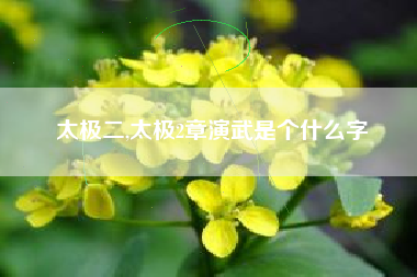 太极二,太极2章演武是个什么字