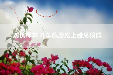 对抗样本,开车旅游路上碰见狼群