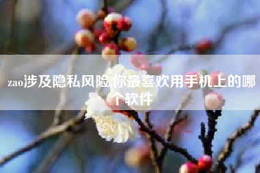 zao涉及隐私风险,你最喜欢用手机上的哪个软件