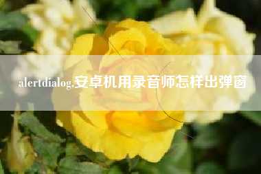 alertdialog,安卓机用录音师怎样出弹窗