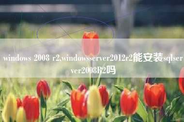 windows 2008 r2,windowsserver2012r2能安装sqlserver2008R2吗