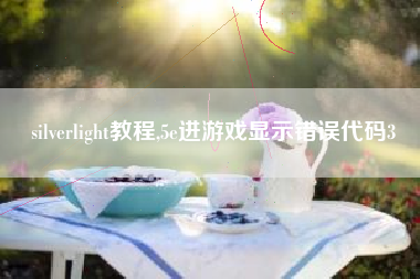 silverlight教程,5e进游戏显示错误代码3