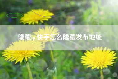 隐藏ip,快手怎么隐藏发布地址