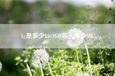 1g是多少kb(1GB等于多少MK)