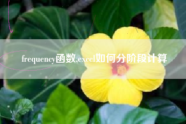 frequency函数,excel如何分阶段计算
