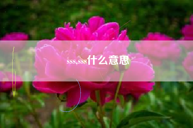 sss,sss什么意思