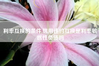 利率互换的条件,信用违约互换是利率敏感性负债吗