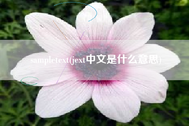 sampletext(jext中文是什么意思)