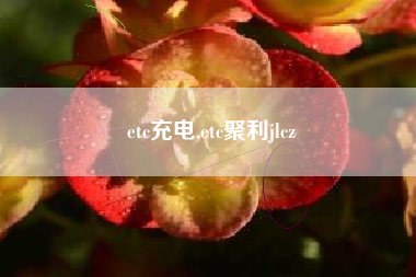 etc充电,etc聚利jlcz