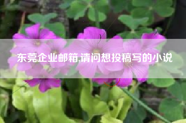 东莞企业邮箱,请问想投稿写的小说