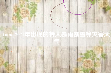 tianq,2021年出现的特大暴雨暴雪等灾害天气