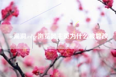 ie漏洞,edge浏览器主页为什么被篡改