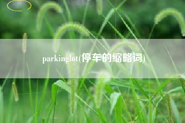 parkinglot(停车的缩略词)