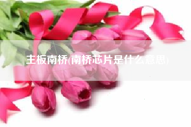 主板南桥(南桥芯片是什么意思)