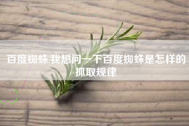 百度蜘蛛,我想问一下百度蜘蛛是怎样的抓取规律