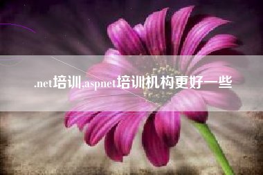 .net培训,aspnet培训机构更好一些