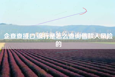 企查查接口,银行是怎么查询借款人风险的