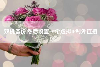 双机备份,然后设置一个虚拟IP对外连接