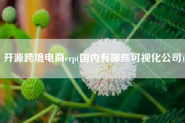 开源跨境电商erp(国内有哪些可视化公司)