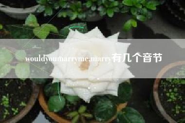 wouldyoumarryme,marry有几个音节