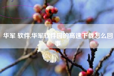 华军 软件,华军软件园的高速下载怎么回事