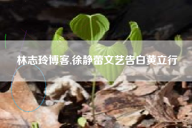 林志玲博客,徐静蕾文艺告白黄立行