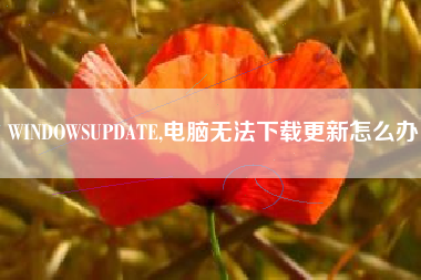 WINDOWSUPDATE,电脑无法下载更新怎么办