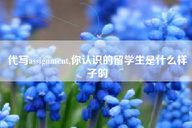 代写assignment,你认识的留学生是什么样子的