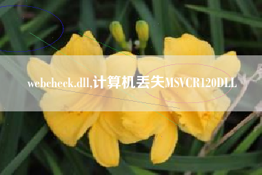 webcheck.dll,计算机丢失MSVCR120DLL