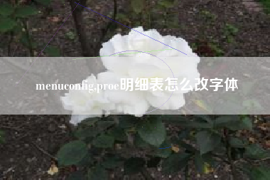 menuconfig,proe明细表怎么改字体