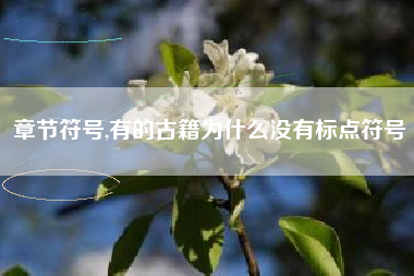 章节符号,有的古籍为什么没有标点符号