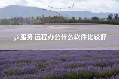 git服务,远程办公什么软件比较好