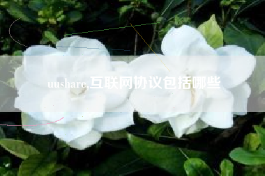 uushare,互联网协议包括哪些