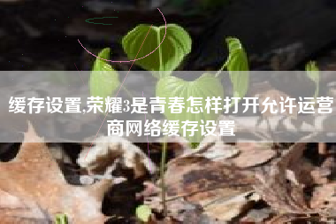缓存设置,荣耀3是青春怎样打开允许运营商网络缓存设置