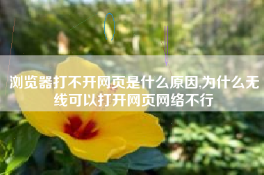 浏览器打不开网页是什么原因,为什么无线可以打开网页网络不行