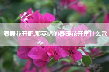 春暖花开吧,那英唱的春暖花开是什么歌