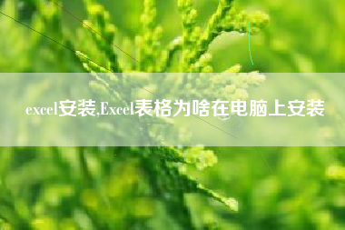 excel安装,Excel表格为啥在电脑上安装