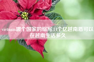 vietnam哪个国家的缩写,14个亿越南盾可以在越南生活多久