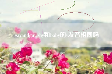 gayandguy,shy和baby的y发音相同吗