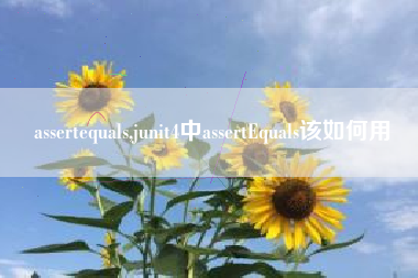 assertequals,junit4中assertEquals该如何用