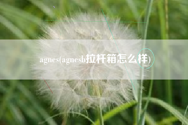 agnes(agnesb拉杆箱怎么样)