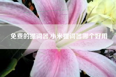 免费的提词器,小米提词器哪个好用