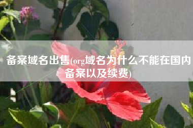 备案域名出售(org域名为什么不能在国内备案以及续费)